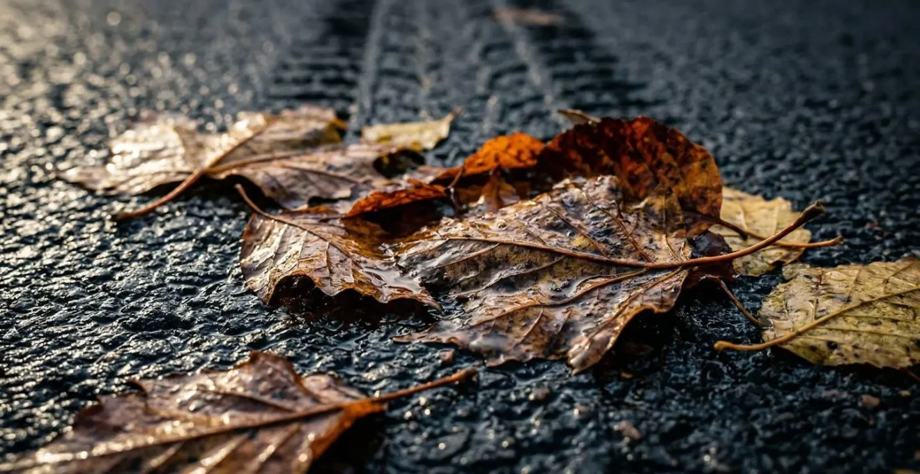 Route couverte de feuilles mortes humides montrant le danger caché